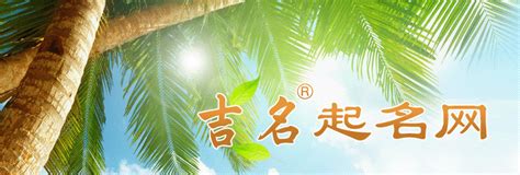 珀名字|带珀字的男孩名字大全